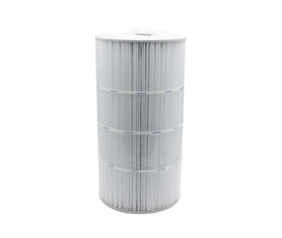 Recambios filtro SwimClear