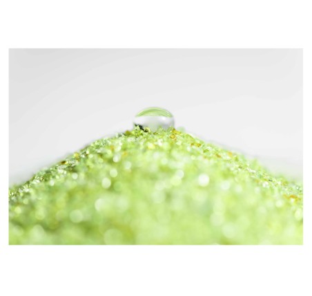AFM®ng Mini CombiBags (11 kg.)