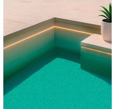 Pool NEON Led